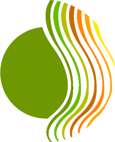 CCS core values wave design graphic