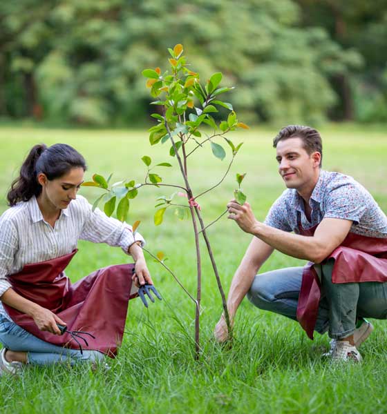 Lokale grüne Initiativen