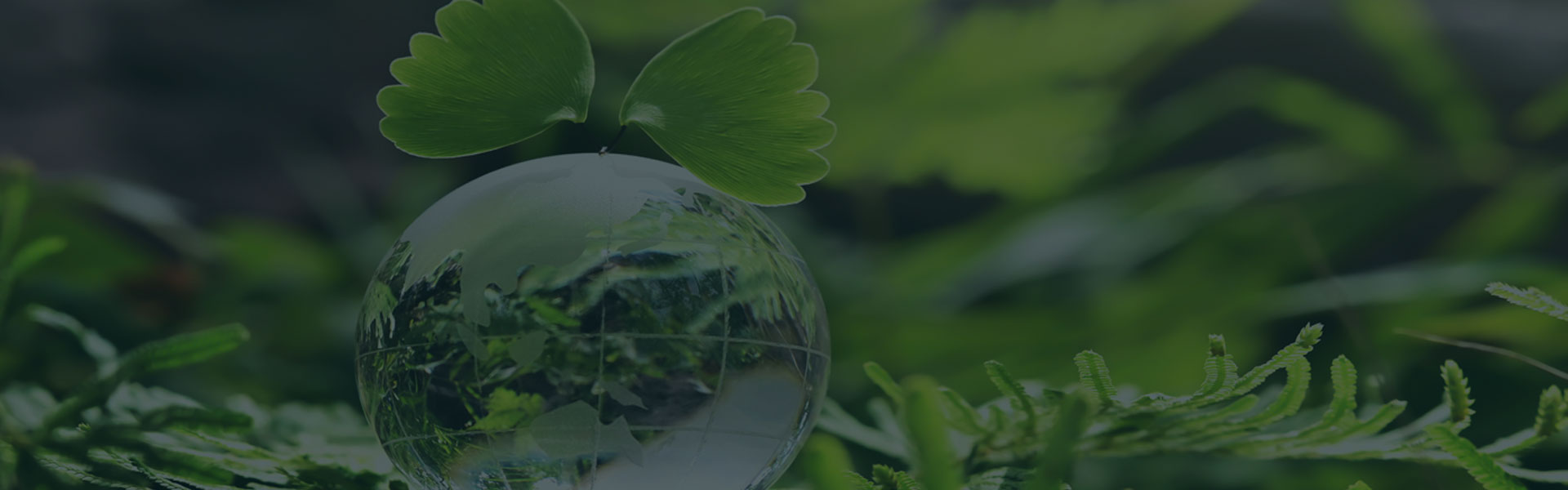 sustainable-cleaning