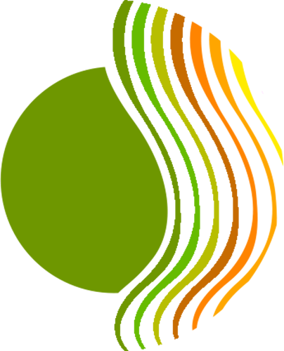 CCS core values wave design graphic