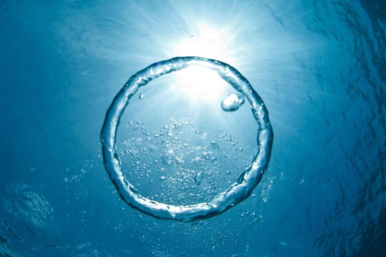 Circular Economy and Cleaning Industry