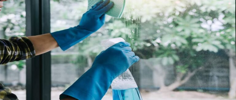 commercial window cleaning services