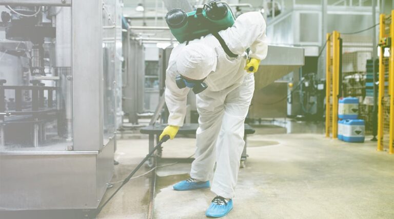 food-factory-cleaning