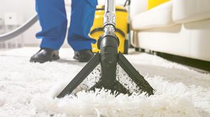 Top 5 Carpet Cleaning Methods for Various Business Settings