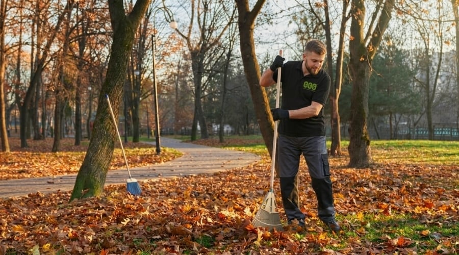 autumn-cleaning-services